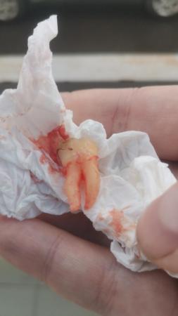 Фотография Стоматология доктора Духовникова 5