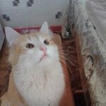 Валерия Власова