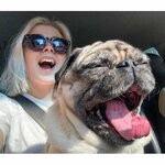 luffi Акито Ину